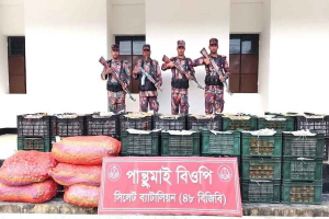 সিলেট সীমান্তে কোটি টাকার ভারতীয় পণ্য জব্দ