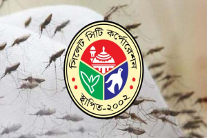 মশার অসহনীয় উপদ্রবে অতিষ্ঠ নগরবাসী