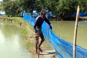 সুনামগঞ্জে বন্যায় ৮ হাজার পুকুরে শতকোটি টাকার ক্ষতি