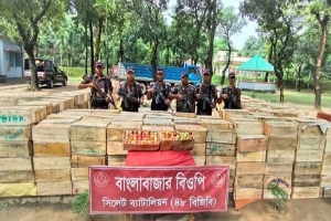 সুনামগঞ্জে বিজিবি’র অভিযানে সাড়ে ৬৩ লক্ষ টাকার ভারতীয় আপেল জব্দ