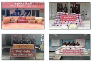  সিলেটে অর্ধকোটি টাকার চোরাচালানের মালামাল জব্দ