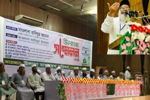 স্বৈরশাসনের অবসান ও ইসলামের বিজয়ে আলেমদের ঐক্যের আহ্বান: মাওলানা হাবিবুর রহমান