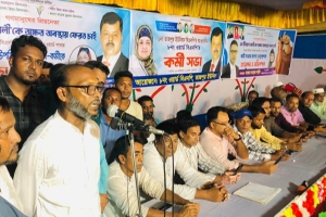 ওসমানীনগরে বিএনপির কর্মী সমাবেশে জনতার ঢ্ল