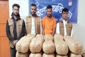 হবিগঞ্জে ডিবির অভিযানে বিপুল পরিমাণ গাঁজাসহ গ্রেপ্তার ১