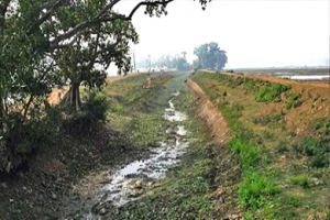 মৌলভীবাজারে পানির অভাবে বোরোর আবাদ ব্যাহত