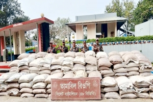 সিলেট সীমান্তে বিপুল পরিমাণ ফল-মাদক জব্দ : আটক ১