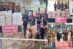 সিলেটে বিজিবির অভিযানে দেড় কোটি টাকার চোরাচালানী মালামাল আটক