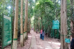 লাউয়াছড়ায় কেন কমেছে প্রাণীদের অবাধ বিচরণ?