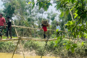 'ঝুঁকিপূর্ণ বাঁশের সাঁকো' দিয়ে পাহাড়ি ছড়া পারাপার