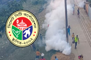 মশায় যন্ত্রণায় অতিষ্ঠ নগরবাসী