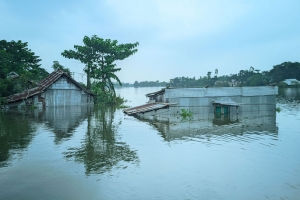 সুনামগঞ্জে তলিয়ে গেছে ২৬৭ হেক্টর ফসলি জমি, ৪৪ কোটি টাকার ক্ষয়ক্ষতি
