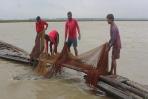 ভরা বর্ষায় মাছশূন্য হাওর, জেলেদের হাহাকার
