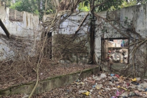 পাবলিক লাইব্রেরি না ময়লার ভাগাড়?