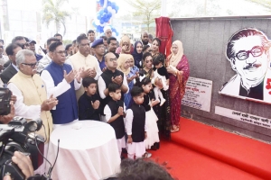 সারাদেশে মডেল পাম্প তৈরি করা হবে :  নসরুল হামিদ