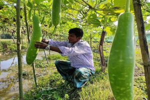 বিষমুক্ত সবজি চাষ বদলে যাচ্ছে গ্রামীণ কৃষি