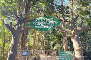 লাউয়াছড়ায় ৪ দিনে সাড়ে ৪ লাখ টাকার রাজস্ব আদায়